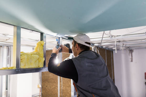 Best Insulation Maintenance and Repair in Sullivan, MO