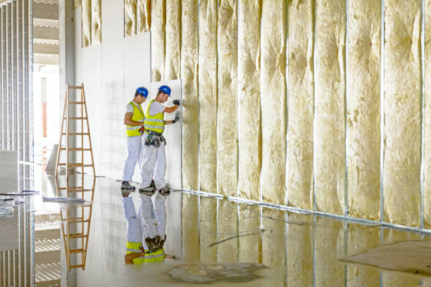 Best Eco-Friendly Insulation in Sullivan, MO